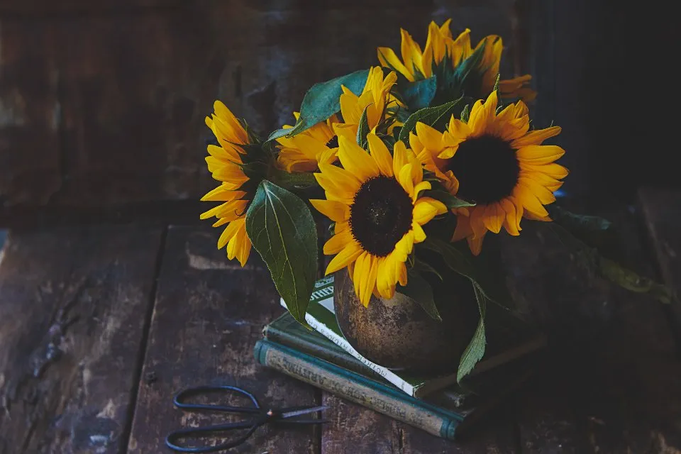 Girasoles en un jarrón sobre una mesa de madera