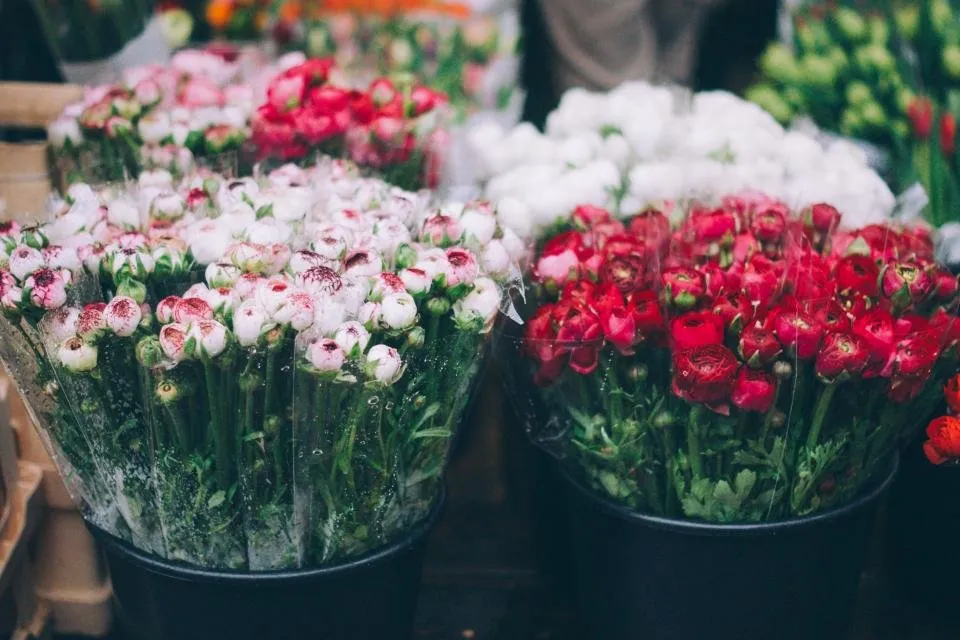 Cubos con claveles rosas y rojos